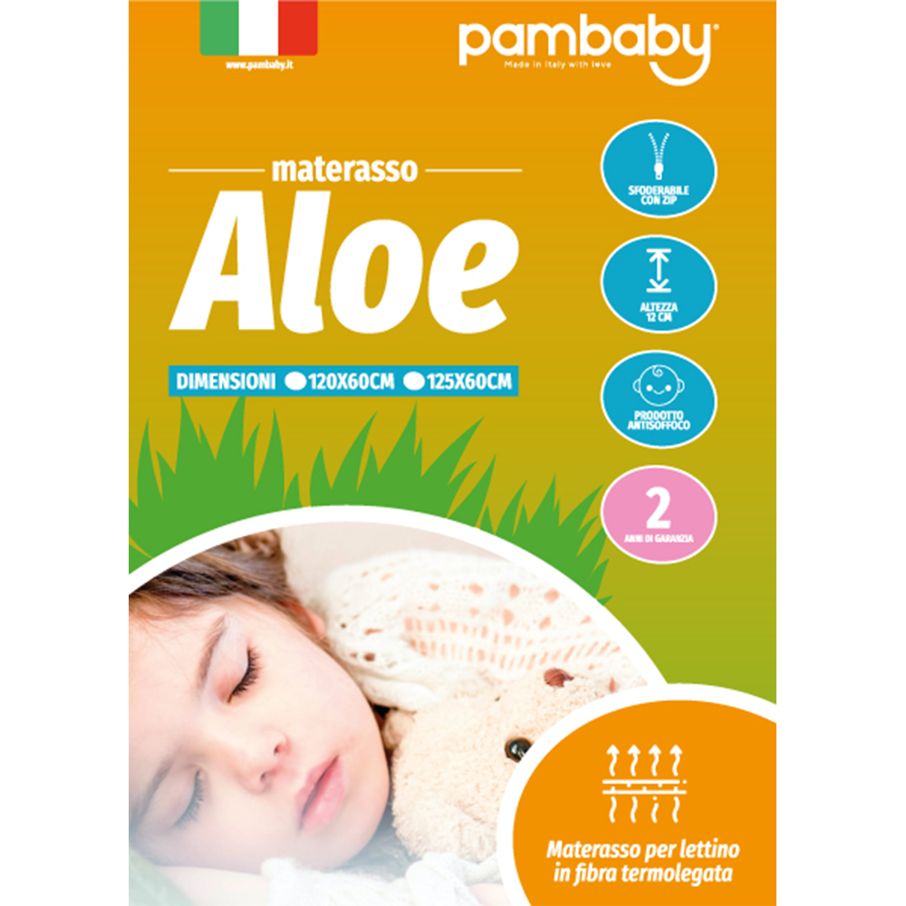 illustrazione_aloe